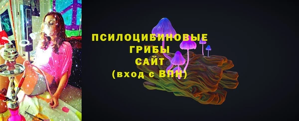 СК Балахна